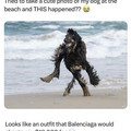 dog_3.jpg
