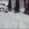 dog_dry-humping_girl_in_snow.gif