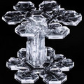 double_snowflake.webp