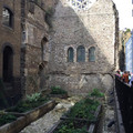 fancy_wall_from_laura_on_wayn.jpg