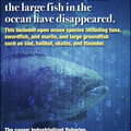 fish.jpg
