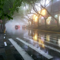 foggy road.jpg