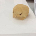frog.jpg