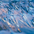 frozen_lake_in_mi.jpg