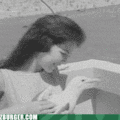 funny-animal-gifs-gull-love.gif