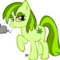 green_pony_1_.jpg