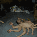 guy_with_many_arms_and_legs.gif