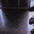 insta_605.gif