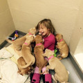 little_girl_and_dogs.jpg