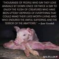 meat_eating_quote.jpg