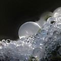 peradam_crystals.jpg
