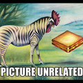 picture_unrelated.jpg