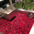pretty cranberries.jpg