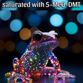 pretty_frog.jpeg