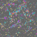 protobacillus.mp4