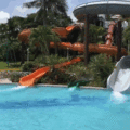 rarest-things-10-59b137eb75554_605.gif