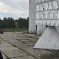 rarest-things-12-59b146cdd6997_605.gif