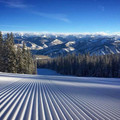 ski_field.jpg