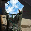 sky in trash.jpg