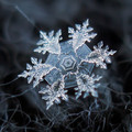 snowflake.jpg