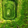 sweet-train-tracks.jpg