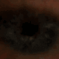 tumblr_lraifn69oa1qaqk32.gif