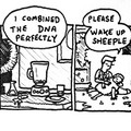 wake_up_sheeple.jpg