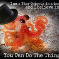 you_can_do_the_thing.jpg