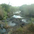 Alligator_Alley_by_eode.jpg