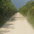 Dark_Journey_by_eode.jpg