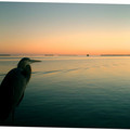 Post_Card_by_eode.jpg