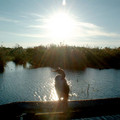 anhinga_in_the_sun_by_eode.jpg