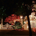 christmas_lights_02.jpg