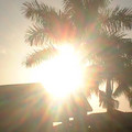 morning_vision.jpg