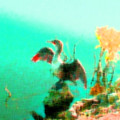 water_colors_by_eode.jpg