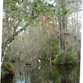 DSCF0055b (2).jpg