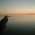 DSCF0017.JPG