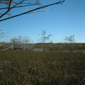DSCF0081_1050.jpg