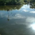 DSCF0122.JPG