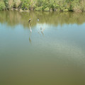 DSCF0126.JPG