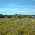dscf0031b.jpg