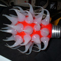 DSCF0003.JPG