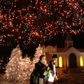 DSCF0022b.jpg