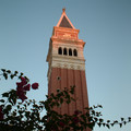 DSCF0171.JPG