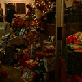 DSCF0037.JPG