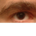 34237_465553884571_7506346_n.jpg