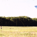 kite_at_the_cabin_2.png
