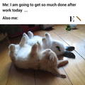 G5up5y1W4AQFYDa.png