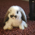 October-26-2011-01-23-38-tumblrlkl2fxgQqk1qjcyoho1500.jpg