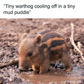 wholesome-blessed-images-66ebc4ec04fd0__700.jpg